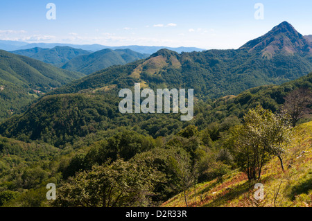 Pescaglia Berge, Apuanischen Alpen (Alpi Apuane), Provinz Lucca, Toskana, Italien, Europa Stockfoto