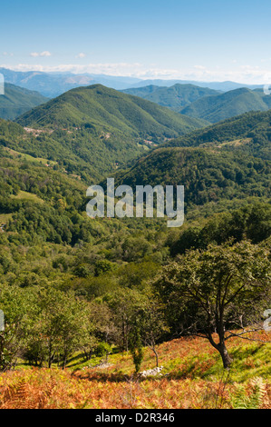 Pescaglia Berge, Apuanischen Alpen (Alpi Apuane), Provinz Lucca, Toskana, Italien, Europa Stockfoto