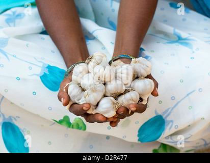 Indische Dorf Frau mit Knoblauch Zwiebeln. Andhra Pradesh, Indien Stockfoto