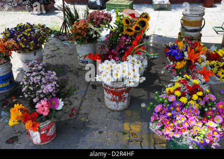 Verschiedenen bunten Schnittblumen am Straßenmarkt angezeigt. Stockfoto