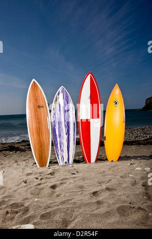 Vielzahl von Shortboards in Sand am Gewässerrand Stockfoto