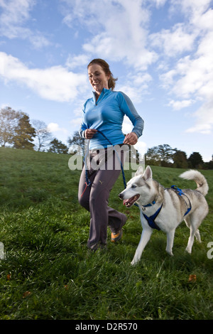 Weibliche Jogger Ausübung husky Hund Stockfoto