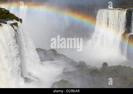 Iguaçu Nationalpark Iguaçu, UNESCO World Heritage Site, Parana, Brasilien, Südamerika Stockfoto