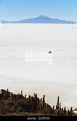Touristischen Jeep am Salar de Uyuni (Salt Flats von Uyuni) von Isla del Pescado (Fisch-Insel), Abteilung Potosi, Bolivien Stockfoto