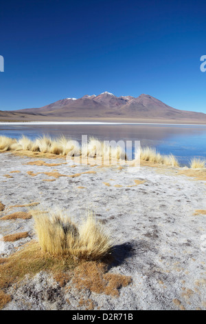 Landschaft des Laguna Canapa auf Altiplano, Abteilung Potosi, Bolivien, Südamerika Stockfoto