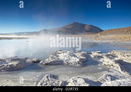 Heißen Quellen von Termas de Polques auf dem Altiplano, Potosi Department, Bolivien, Südamerika Stockfoto