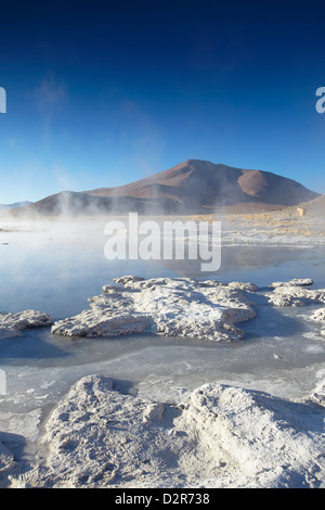 Heißen Quellen von Termas de Polques auf dem Altiplano, Potosi Department, Bolivien, Südamerika Stockfoto