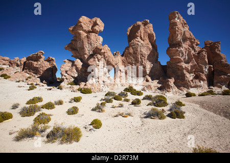 Felsige Landschaft auf dem Altiplano, Potosi Department, Bolivien, Südamerika Stockfoto