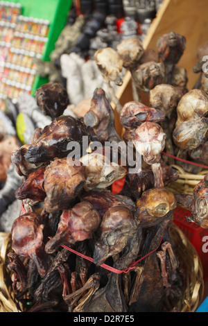 Getrocknete Lama-Föten in Witches Markt, La Paz, Bolivien, Südamerika Stockfoto