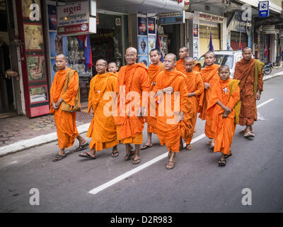 Phnom Penh, Kambodscha. 31. Januar 2013.  Kambodschanische buddhistische Mönche Fuß zurück zum Wat Ounalom nach dem Gebet für ehemalige König Norodom Sihanouk im königlichen Palast. Norodom Sihanouk (31. Oktober 1922 15. Oktober 2012) war der König von Kambodscha von 1941 bis 1955 und von 1993 bis 2004. Er war der effektiven Herrscher von Kambodscha von 1953 bis 1970. Nach seiner zweiten Abdankung im Jahr 2004 erhielt er den Ehrentitel "König-Vater der Kambodscha.'' Sihanouk diente zwei Amtszeiten als König, zwei als souveräner Fürst, als Präsident, zwei als Premierminister. Bildnachweis: ZUMA Press, Inc. / Alamy Live News. Stockfoto