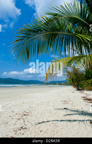 Schöner Sand Strand, Cape Tribulation, Queensland, Australien, Pazifik Stockfoto