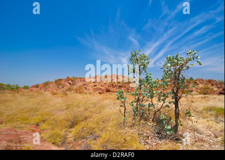 Kundjarra (Kies) Granitfelsen, Northern Territory, Australien, Pazifik Stockfoto