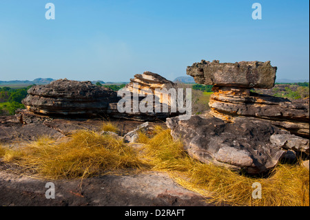 Kakadu National Park, UNESCO-Weltkulturerbe, Northern Territory, Australien, Pazifik Stockfoto