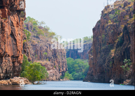 Katherine Gorge, Northern Territory, Australien, Pazifik Stockfoto