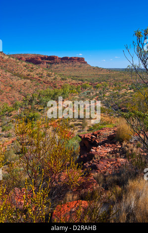 Kings Canyon, Northern Territory, Australien, Pazifik Stockfoto