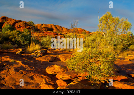 Kings Canyon, Northern Territory, Australien, Pazifik Stockfoto