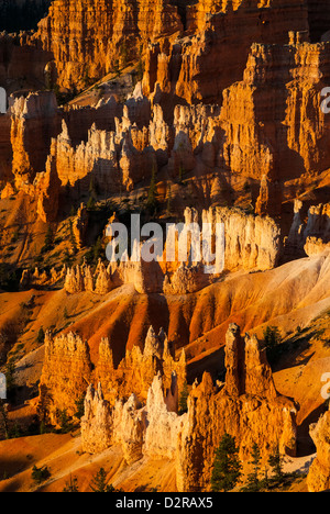 Nahaufnahme von den Zinnen, schöne Felsformationen des Bryce Canyon National Park bei Sonnenuntergang, Utah, USA Stockfoto