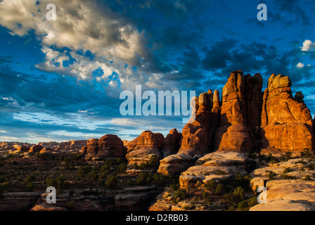 Wunderschöne Felsformationen in den Nadeln, Canyonlands National Park, Utah, Vereinigte Staaten von Amerika, Nord Amerika Stockfoto