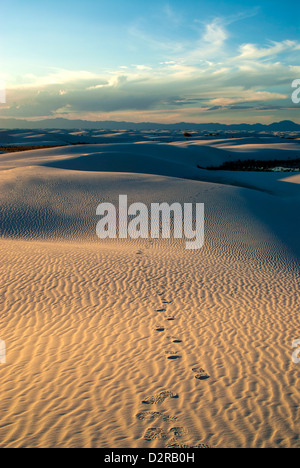 Wellige Gips, Sanddünen im White Sands National Monument, New Mexico, Vereinigte Staaten von Amerika, Nordamerika Stockfoto