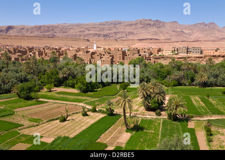 Dorf von Tinghir Dades Tal Atlasgebirge Marokkos Stockfoto