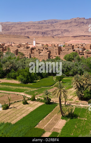 Dorf von Tinghir Dades Tal Atlasgebirge Marokkos Stockfoto