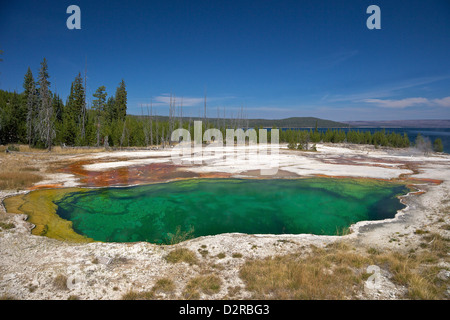 Abgrund Pool, West Thumb Geyser Basin, Yellowstone-Nationalpark, Wyoming, USA Stockfoto