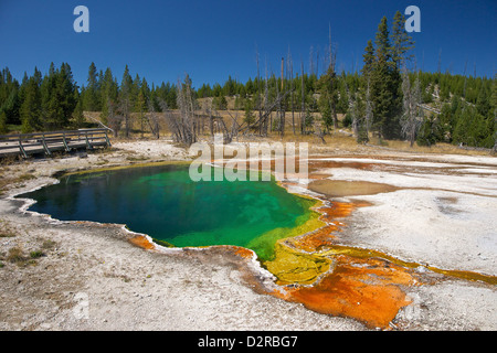 Abgrund Pool, West Thumb Geyser Basin, Yellowstone-Nationalpark, Wyoming, USA Stockfoto