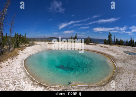 Blaue Trichter Frühling, West Thumb Geyser Basin, Yellowstone-Nationalpark, Wyoming, USA Stockfoto