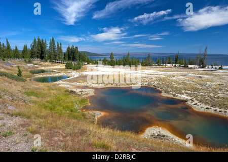 Blaue Trichter Frühling, West Thumb Geyser Basin, Yellowstone-Nationalpark, Wyoming, USA Stockfoto