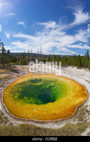 Morning Glory Pool, Upper Geyser Basin, Yellowstone-Nationalpark, Wyoming, USA Stockfoto