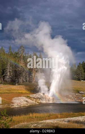 Riverside-Geysir, Upper Geyser Basin, Yellowstone-Nationalpark, Wyoming, USA Stockfoto