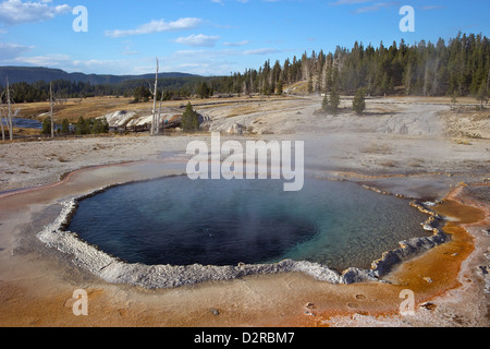 Crested Pool, Upper Geyser Basin, Yellowstone-Nationalpark, Wyoming, USA Stockfoto