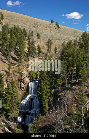 Undine fällt, in der Nähe von Mammoth Hot Springs, Yellowstone-Nationalpark, Wyoming, USA Stockfoto