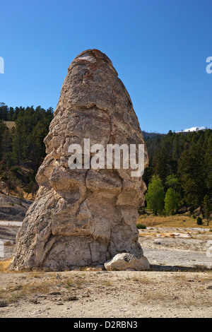 Liberty Cap, einem ruhenden Thermalquelle Kegel, Mammoth Hot Springs, Yellowstone-Nationalpark, Wyoming, USA Stockfoto