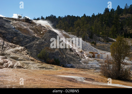 Des Teufels Daumen und Palette Frühling, Mammoth Hot Springs, Yellowstone-Nationalpark, Wyoming, USA Stockfoto