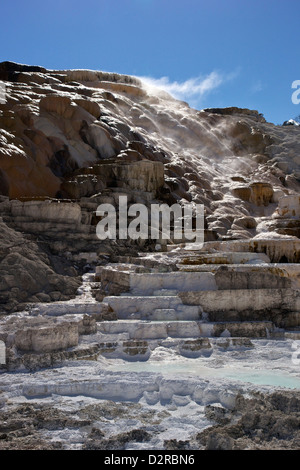 Palette Spring, Mammoth Hot Springs, Yellowstone-Nationalpark, Wyoming, USA Stockfoto