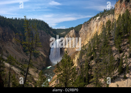 Blick auf Lower Falls von Red Rock Point, Grand Canyon of the Yellowstone River, Yellowstone-Nationalpark, Wyoming, USA Stockfoto