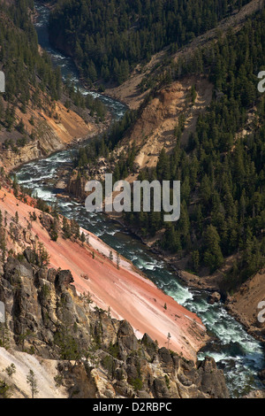 Grand Canyon des Yellowstone River, vom Inspiration Point, Yellowstone-Nationalpark, Wyoming, USA Stockfoto