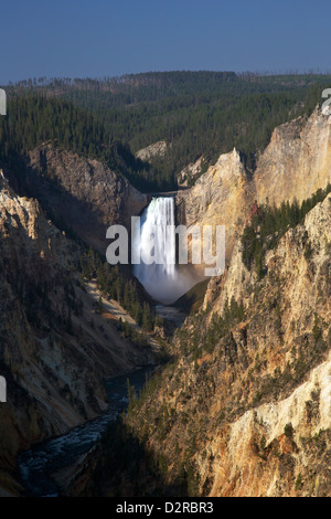 Lower Falls vom Künstler Point, Grand Canyon of the Yellowstone River, Yellowstone-Nationalpark, Wyoming, USA Stockfoto