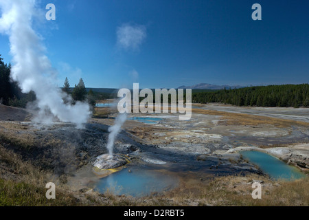 Fumarolen (Dampfdüsen) in Porzellan-Becken, Norris Geyser Basin, Yellowstone-Nationalpark, Wyoming, USA Stockfoto