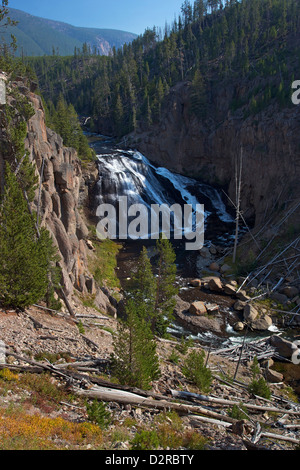 Gibbon Falls, Yellowstone-Nationalpark, Wyoming, UNESCO World Heritage Site, Wyoming, Vereinigte Staaten von Amerika, Nordamerika Stockfoto