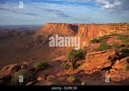 Grand View Point Overlook, Canyonlands National Park, Utah, Vereinigte Staaten von Amerika, Nordamerika Stockfoto