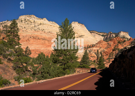 PKW auf Zion-Mount Carmel Highway, Zion Nationalpark, Utah, Vereinigte Staaten von Amerika, Nordamerika Stockfoto