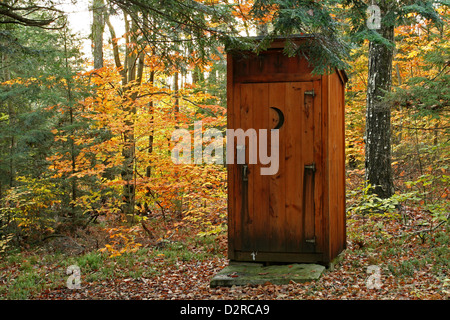 Woodland,, Mischfarben. Stockfoto