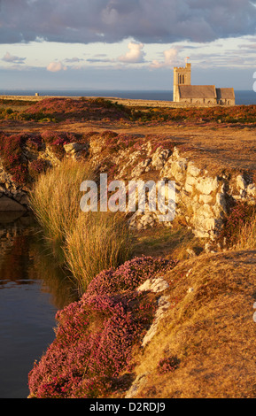 St Helena's Church Im goldenen Abendlicht mit Heidekraut und Rakete Pole Teich im Vordergrund auf Lundy Island, Devon, England, UK im August Stockfoto
