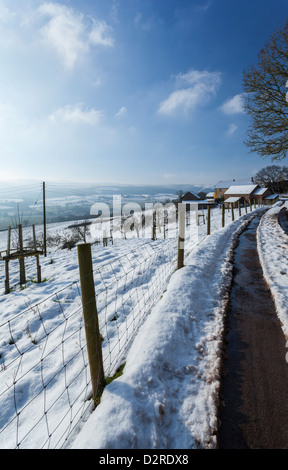 Verschneiten Weg zum Osten Lynch Bauernhof in der Nähe von Selworthy auf Exmoor Stockfoto