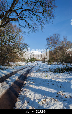 Verschneiten Weg zum Weiler Halsway mit Hurley Beacon hinter. Das Quantocks, Somerset Stockfoto