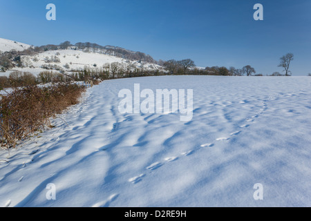 Verschneite Weiler Halsway mit Hurley Leuchtfeuer hinter in Quantocks, Somerset Stockfoto