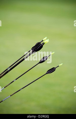 Olympischen Spiele Bogenschießen testen bei Lords Cricket Ground London UK Stockfoto