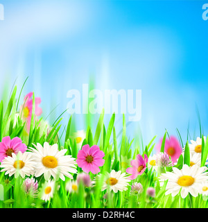 Schönheit Sommer Hintergründe für Ihr design Stockfoto